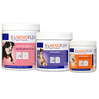 Introducing Movoflex Soft Chews