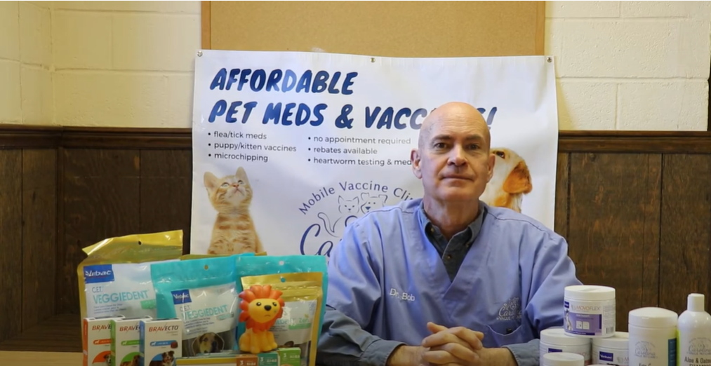 What can I expect at a clinic event with my pet? Carolina Value Pet Care