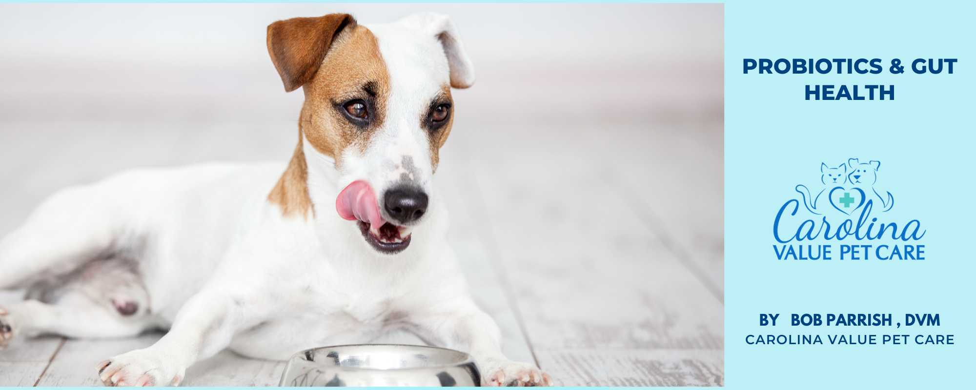 do probiotics help dogs with ibd