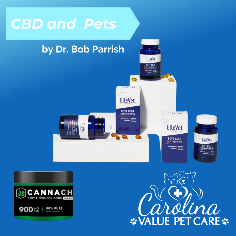 CBD and Pets - Not Just For Anxiety