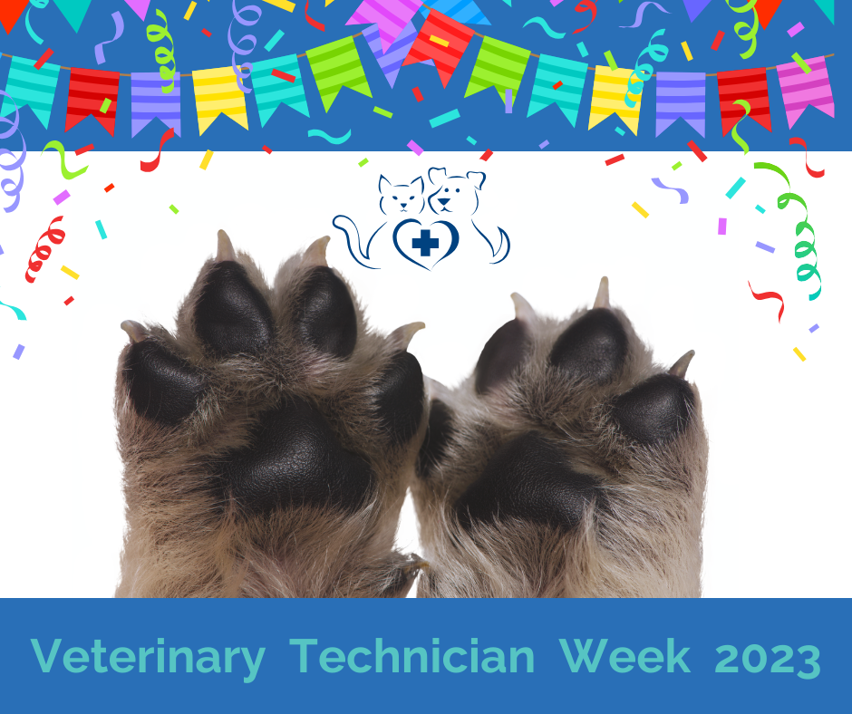 Technician Appreciation Week