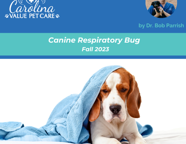 Value pet hotsell clinic near me